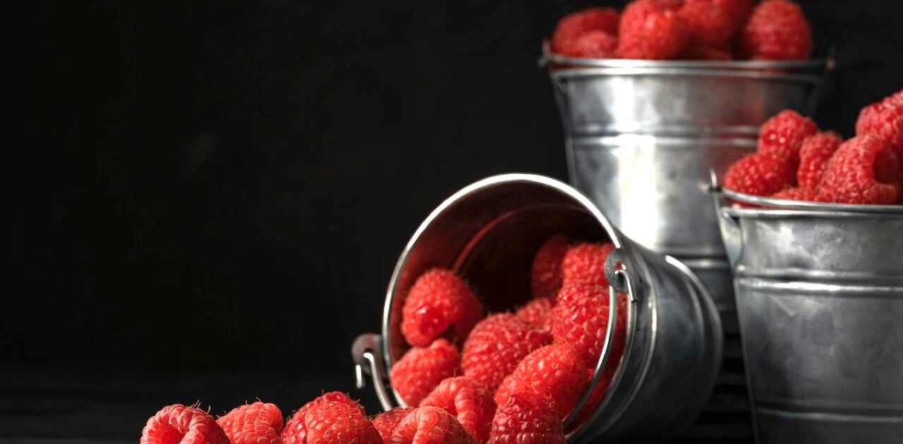 Raspberry: Rahasia Alami Anti-Penuaan untuk Kulit Cantik